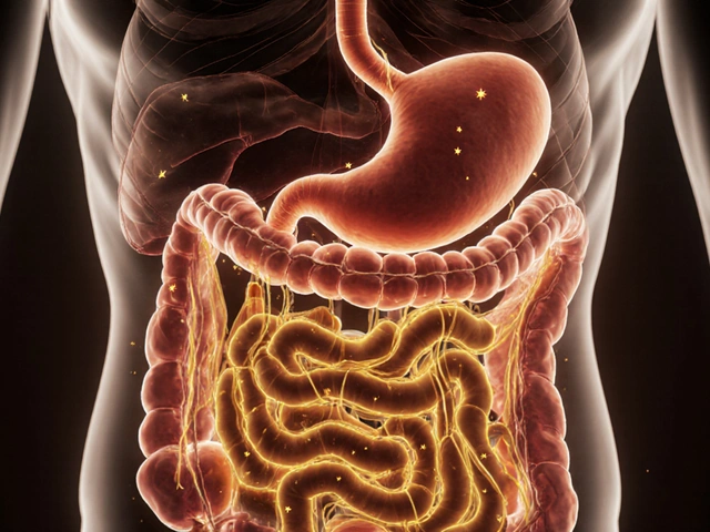 Gesundheit des Darms: Häufige Fragen und klare Antworten
